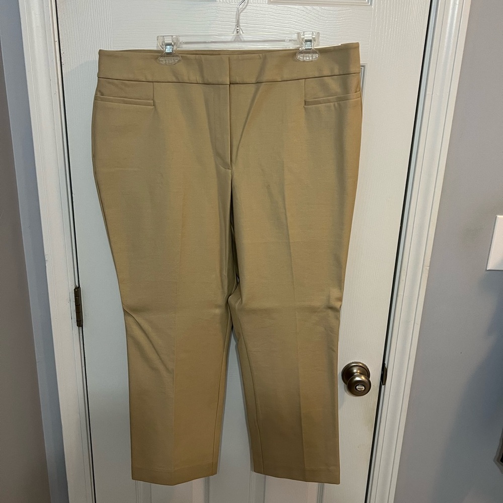 NWT Ann Taylor The Ankle Curvy Fit